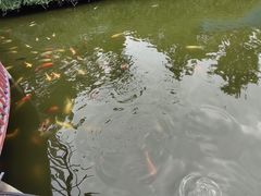 -南湖梦幻岛
