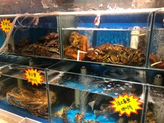 -77号渔船·蒸海鲜青岛菜(积米崖店)