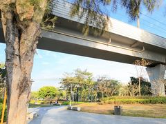 -宝安西湾红树林湿地公园