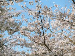 -龙美术馆西岸馆-停车场