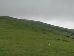 -大姆山草场