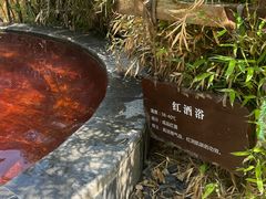 -仁爱团泊湖温泉中心