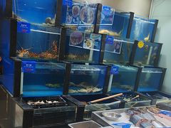 -品味居·首店·大连鲜活海鲜大连菜(东港店)