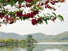 -南北湖风景区