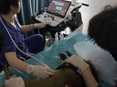 -北京观赏动物医院·24小时大型综合·猫专科·异宠专科