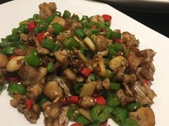 -碧丽宫大酒店(召稼楼店)