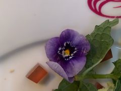 -马克西姆餐厅(崇文门店)