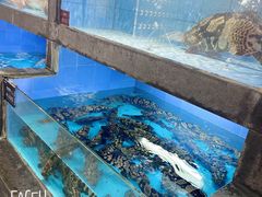 水产区-徐记海鲜(大雁塔|金都店)