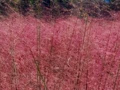 -南京奥林匹克体育中心