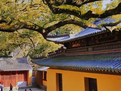 -普陀山风景名胜区-法雨禅寺