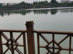 -塘沽森林公园