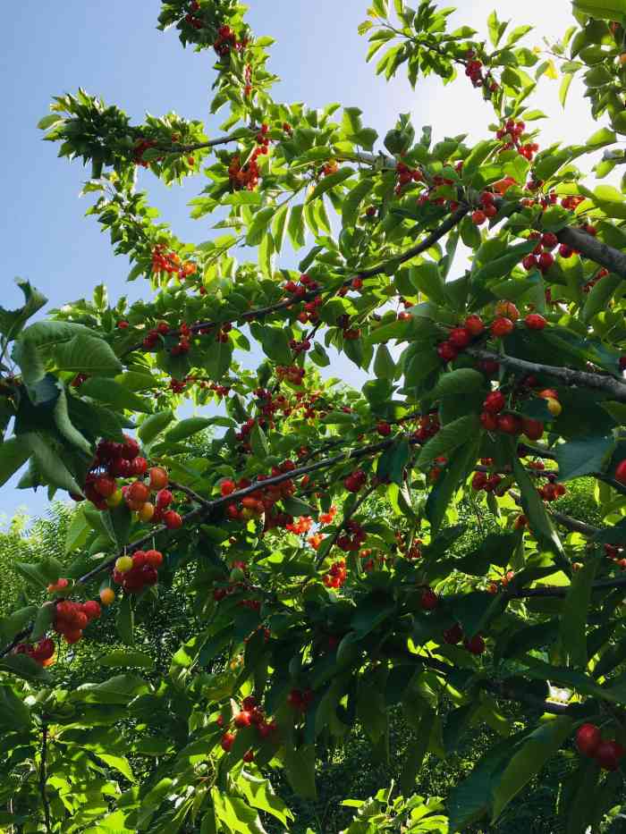  !doctype html> html lang=