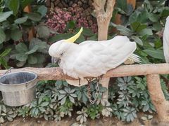 -南宫五洲植物乐园