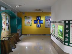 -上海昆虫博物馆