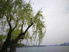 -无锡蠡湖国家湿地公园-蠡园