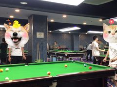 -叮叮台球·棋牌(西四店)