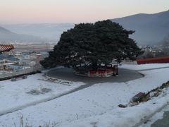 -延吉东来寺