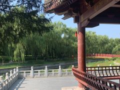 -元大都城垣遗址公园