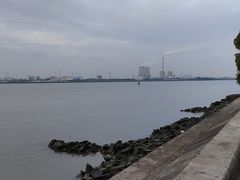 -海鸥岛