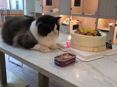 -爱维尔阳光蛋糕(越湖店)