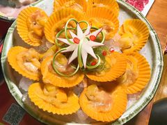 鲜活扇贝-潮澎派·潮汕菜大排档(南较西路店)