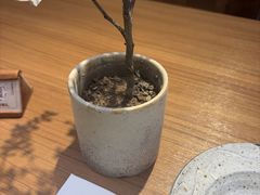 -CURRY YA 熟成咖哩專門店(深圳湾万象城店)