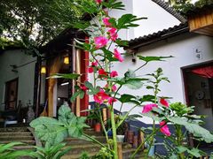 -花间酒庭院餐厅(谷山店)