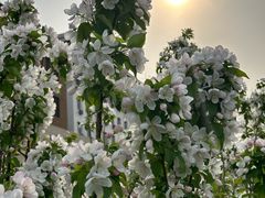 -北京市垂杨柳医院