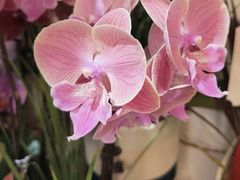 -雕刻时光咖啡馆(北师大店)