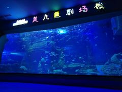 -多彩贵州城极地海洋世界