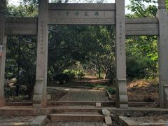 -雨花胜境