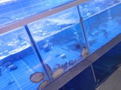 -义乌之心城市生活广场