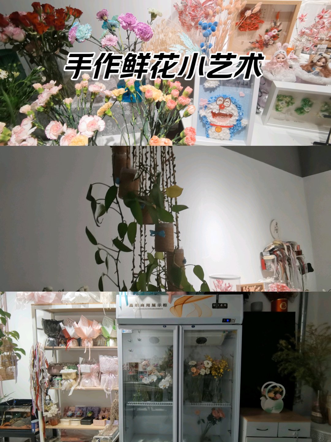 花店花种价目表图片图片