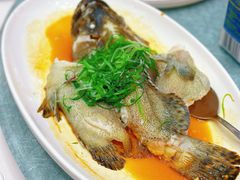 -骏丰酒楼(黄编店)