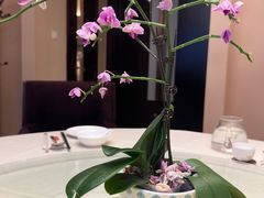 -广东胜利宾馆西关粤中餐厅