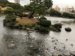 -水前寺成趣园