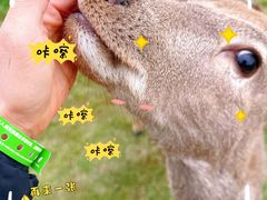 -盈香心动乐园
