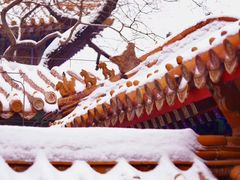 -故宫博物院(故宫)