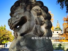 -北京石刻艺术博物馆(五塔寺)