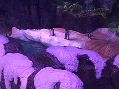 -暹罗海洋世界