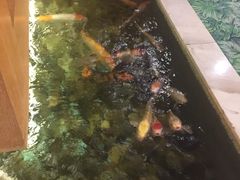 -嘉年华会水疗会(大剧院站E出口店)