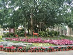 -南宁花花大世界景区