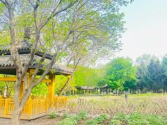 -黑龙江省森林植物园