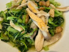 鸡毛菜炒蛏子-子霖南山鲜虾面(南山总店)