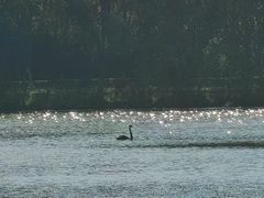 -华东政法大学(松江校区)