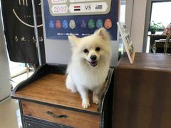 -肆兮眼镜·蔡司·徕卡战略合作店(大坪店)