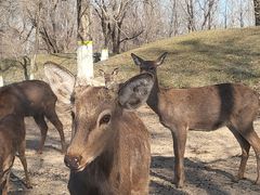 -北京野生动物园