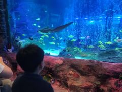 -沈阳海洋探索中心