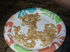 花生米-Helens海伦司小酒馆(津湾广场店)