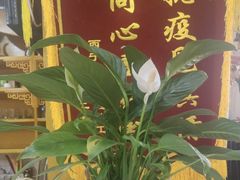 -伊帆食府·青海地方特色美食